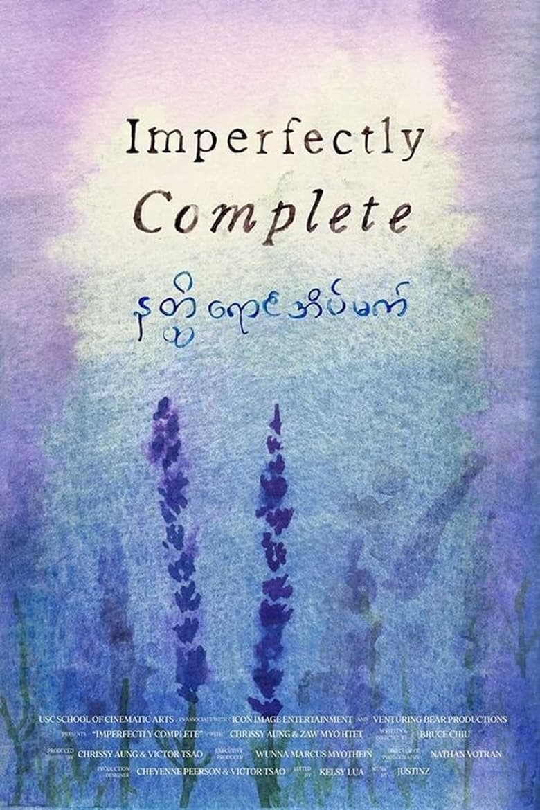 Poster of Imperfectly Complete