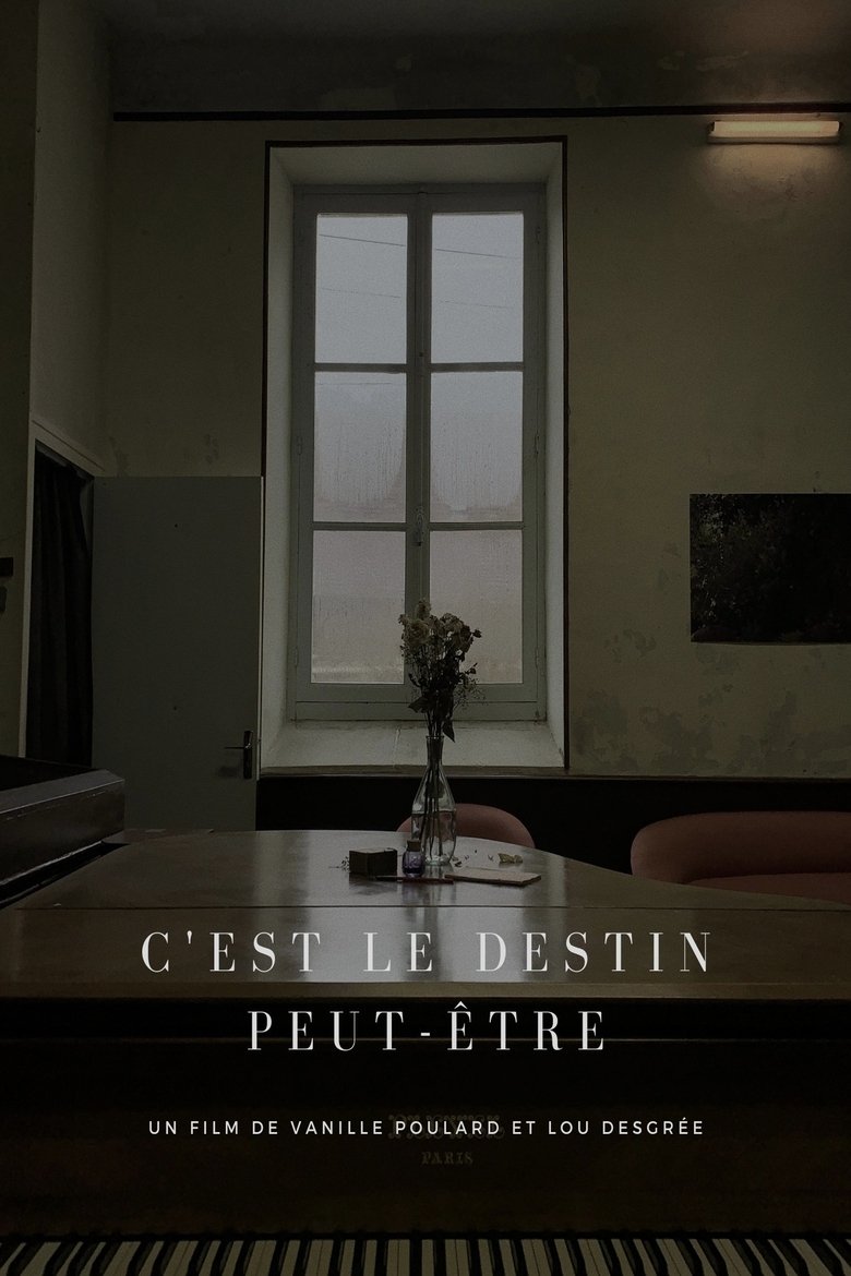 Poster of C'est le Destin peut-être