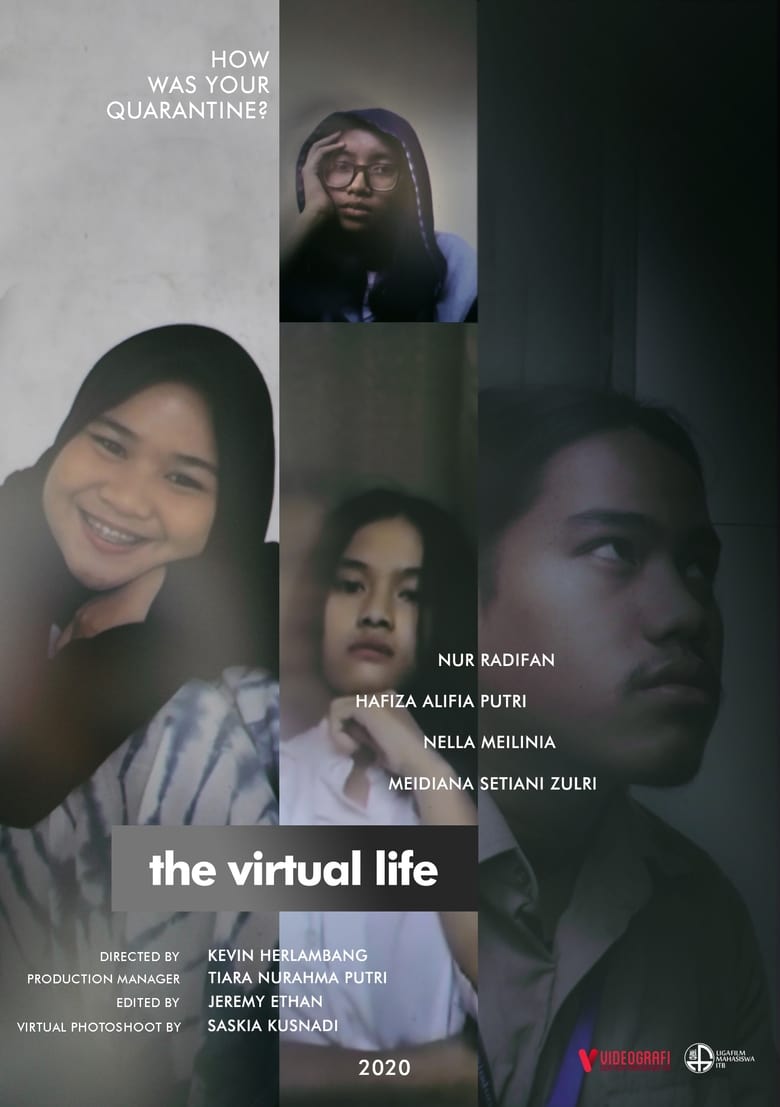 Poster of The Virtual Life