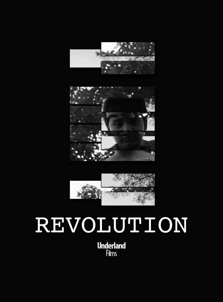 Poster of Revolution