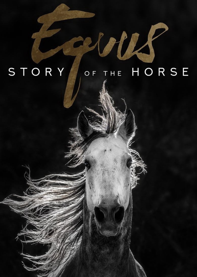 Poster of Equus: Story of the Horse