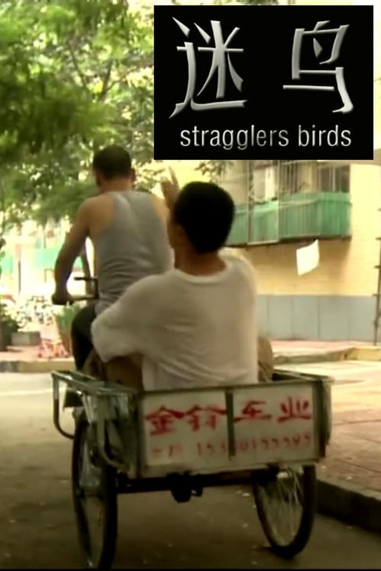 Poster of Stragglers Birds