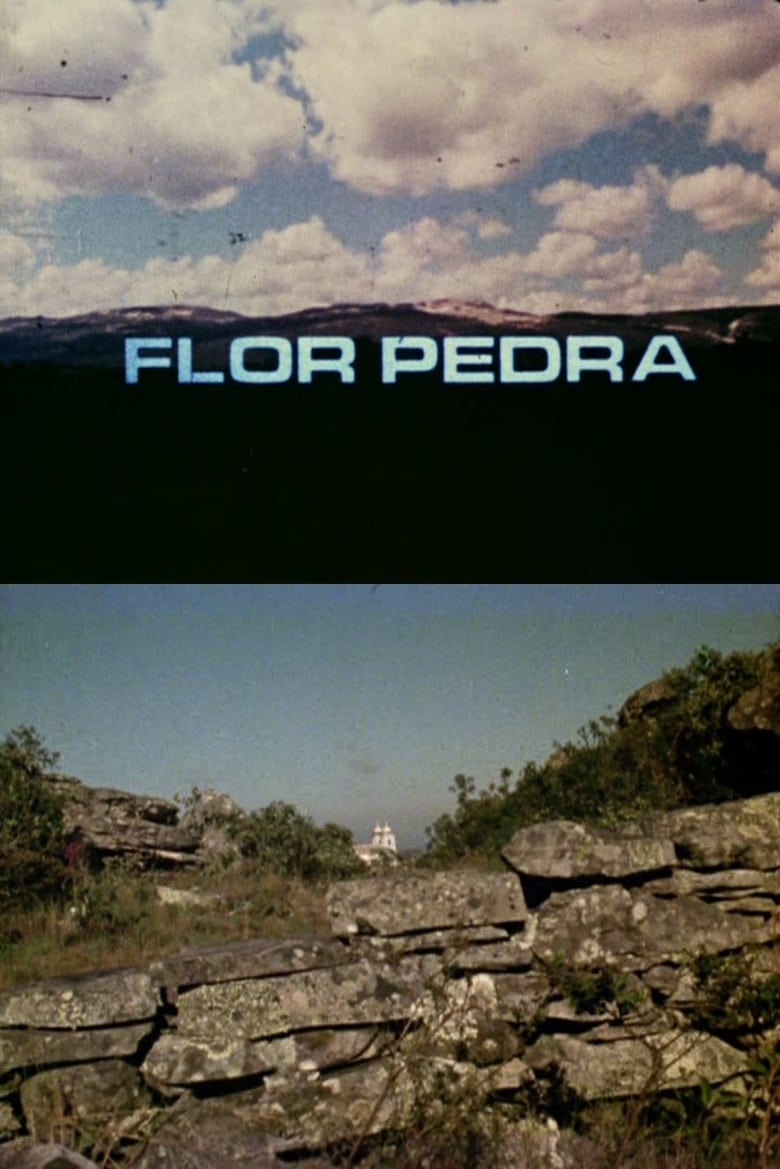 Poster of Flor Pedra