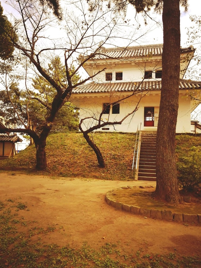 Poster of Sanae's Journey to Tsuchiura Castle