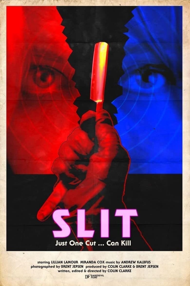 Poster of Slit