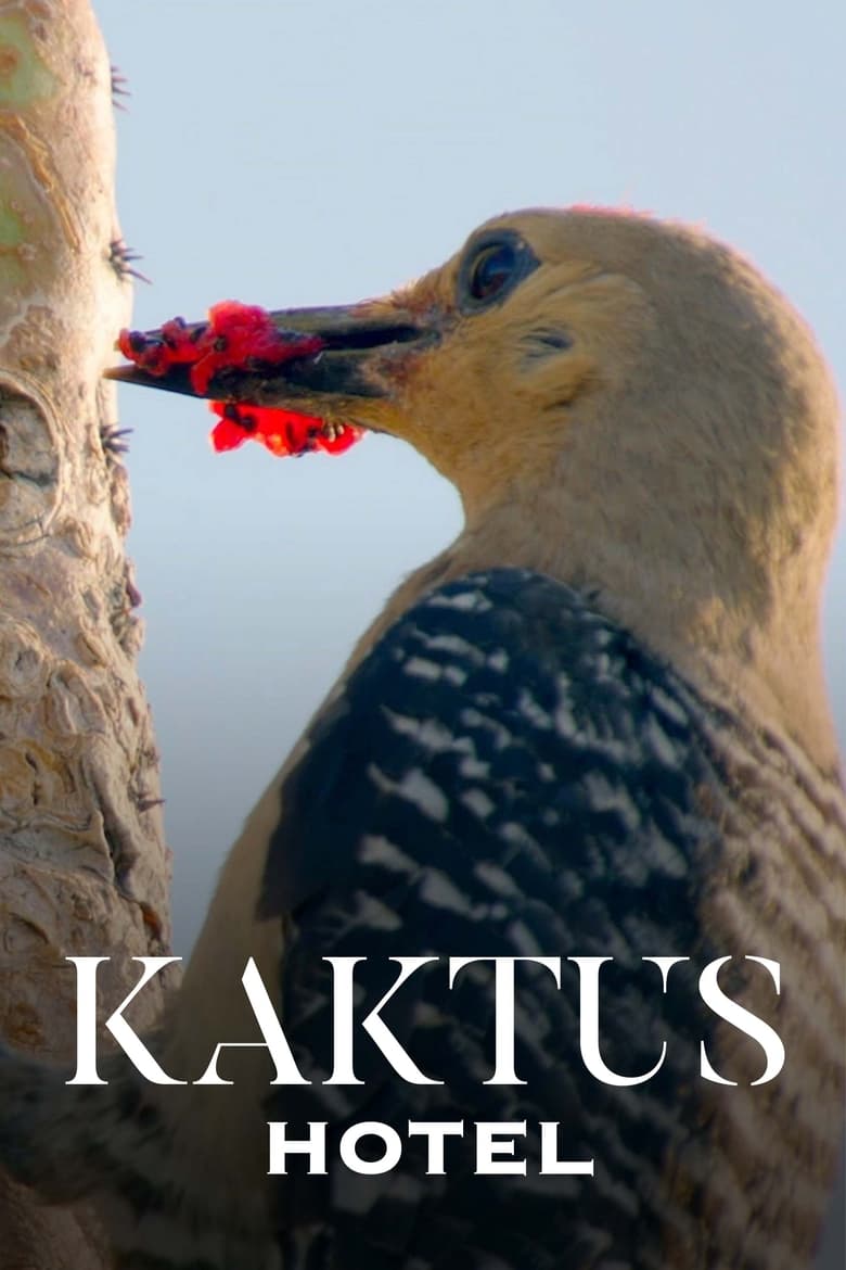 Poster of Kaktus Hotel