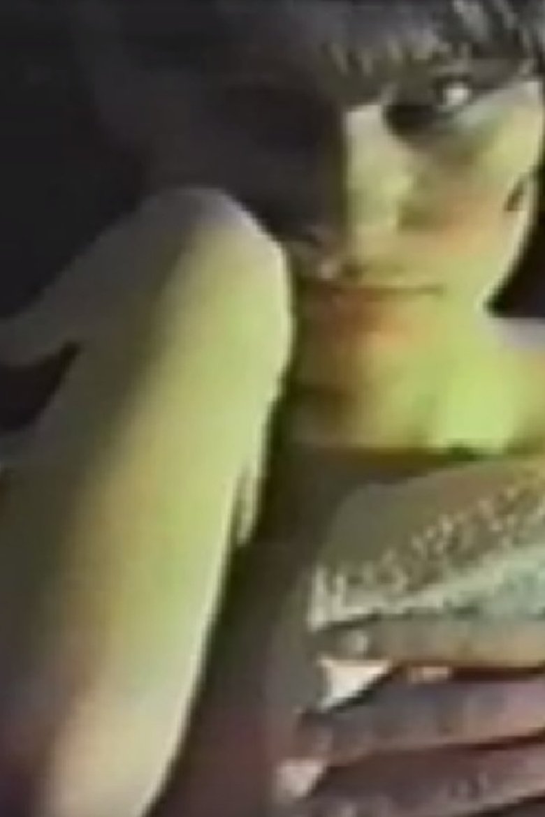 Poster of Borghesia: Cindy Sherman