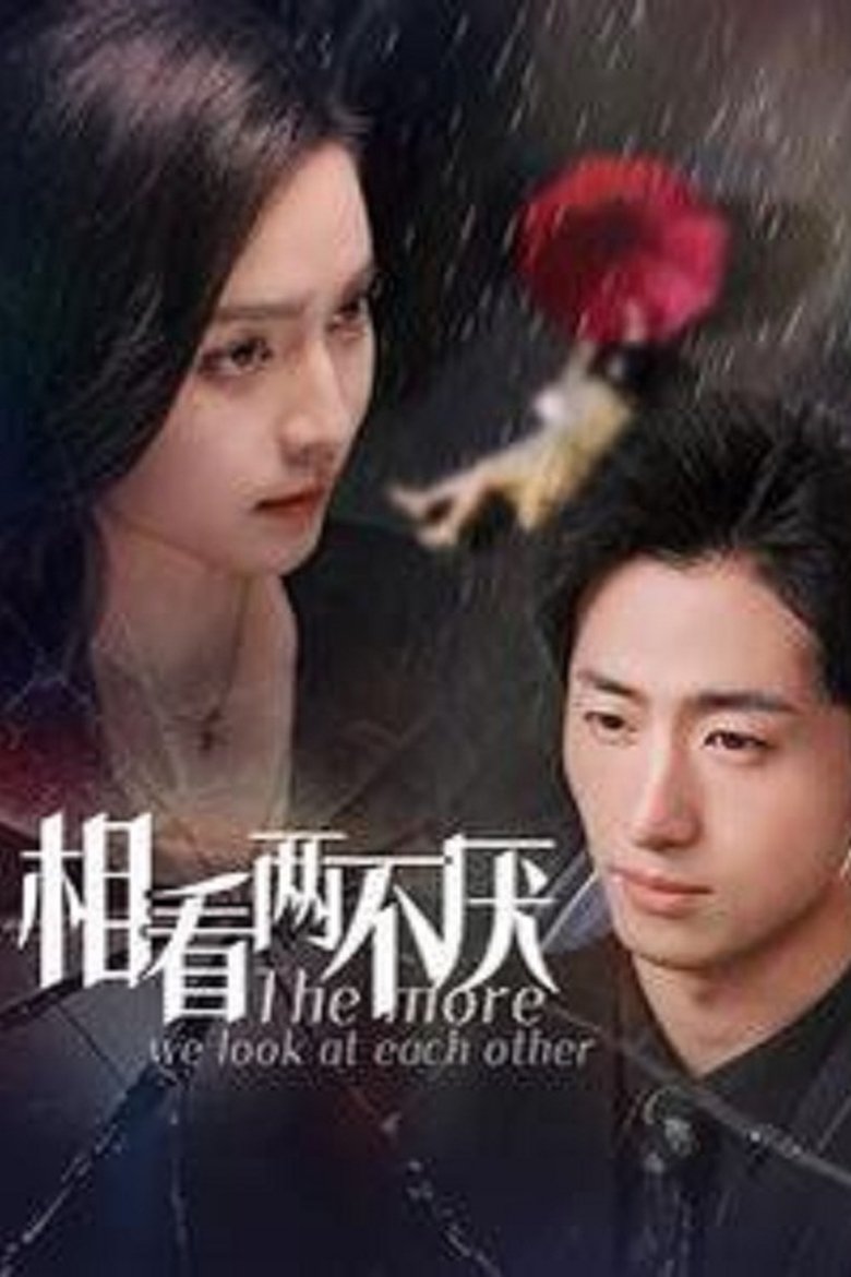 Poster of 相看两不厌