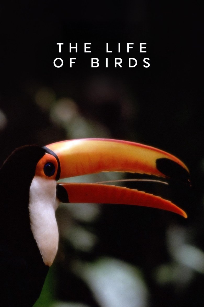 Poster of The Life of Birds