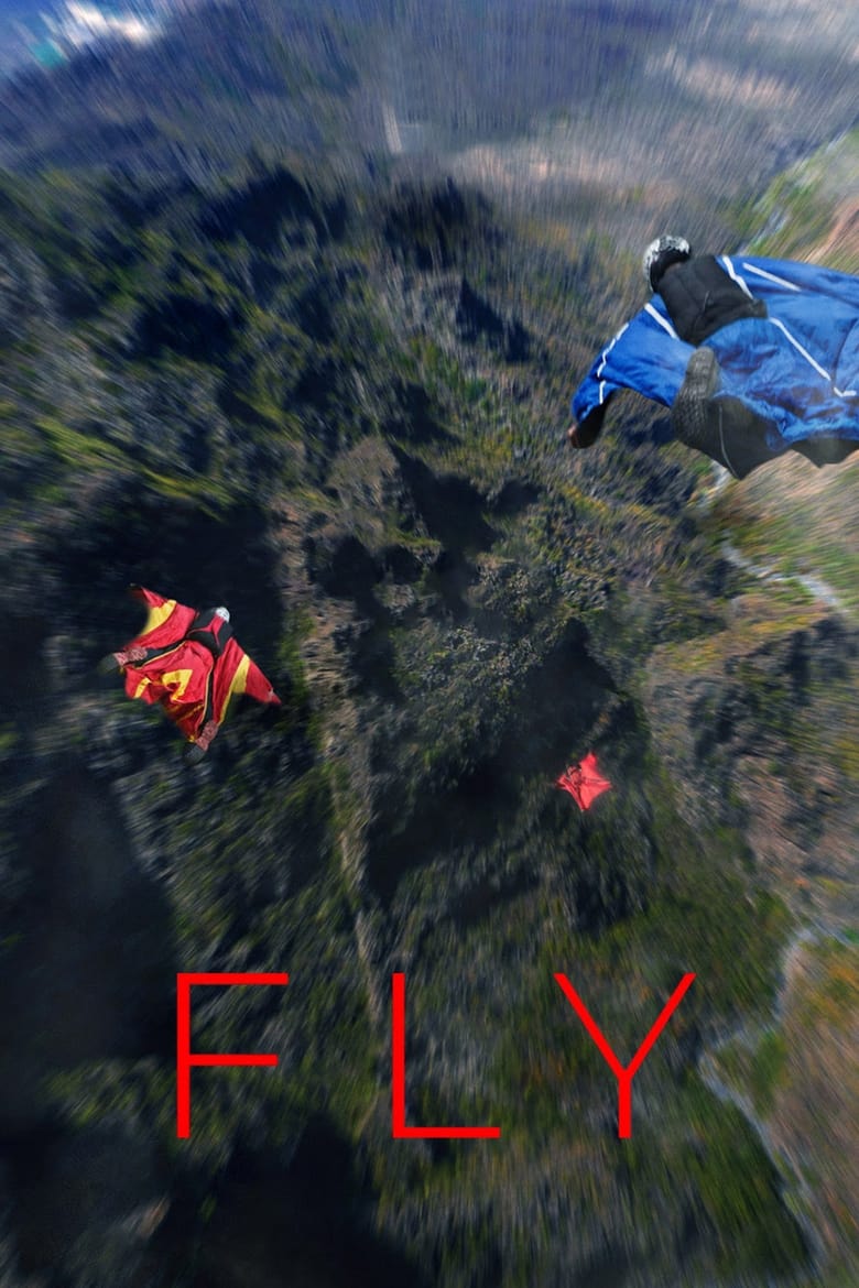 Poster of Fly