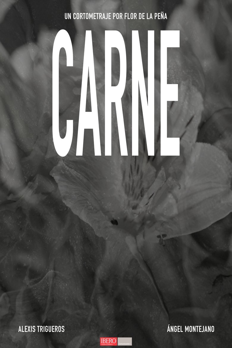 Poster of CARNE