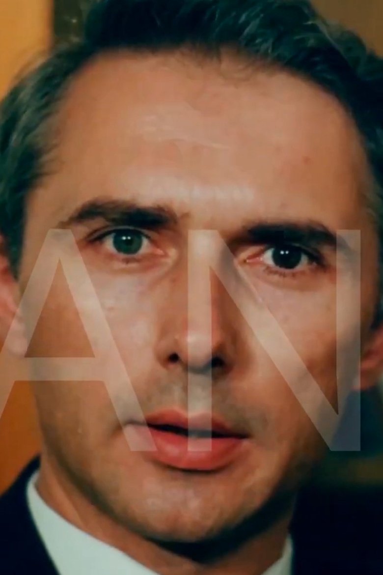 Poster of The Judicial Experiment