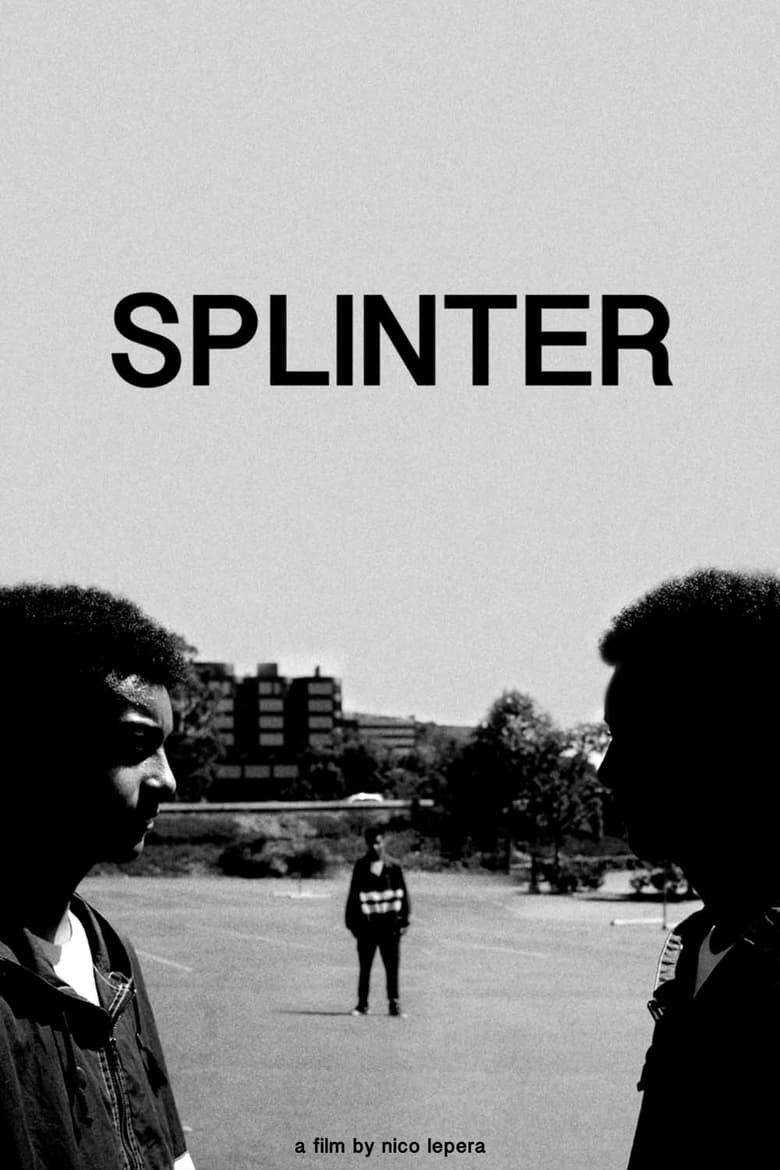 Poster of Splinter