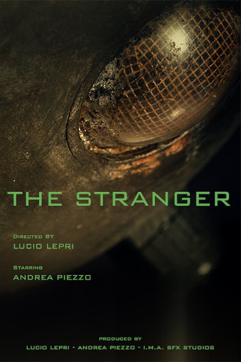 Poster of The Stranger