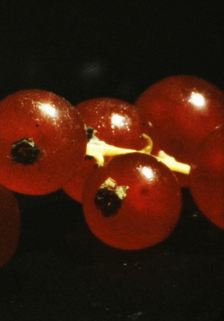 Poster of and so it came about (A Tale of Consequential Dormancy)