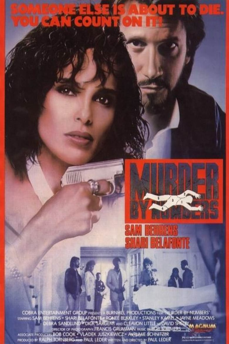 Poster of Murder by Numbers