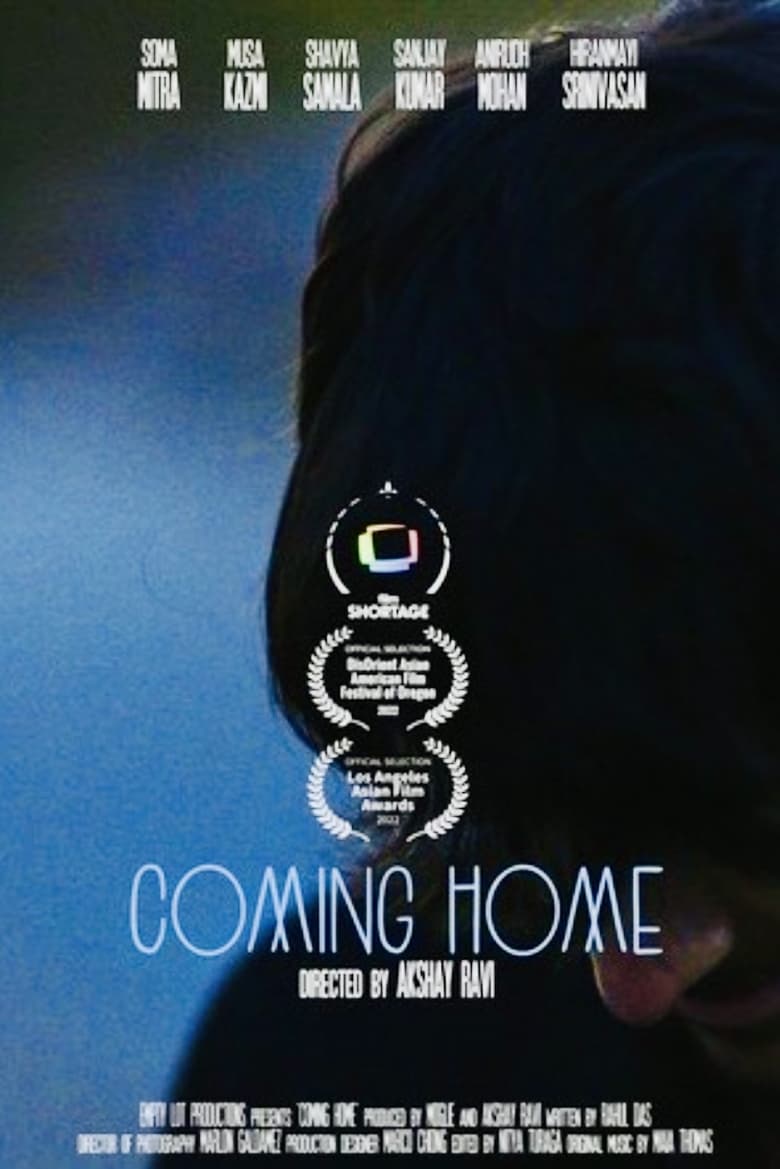 Poster of Coming Home