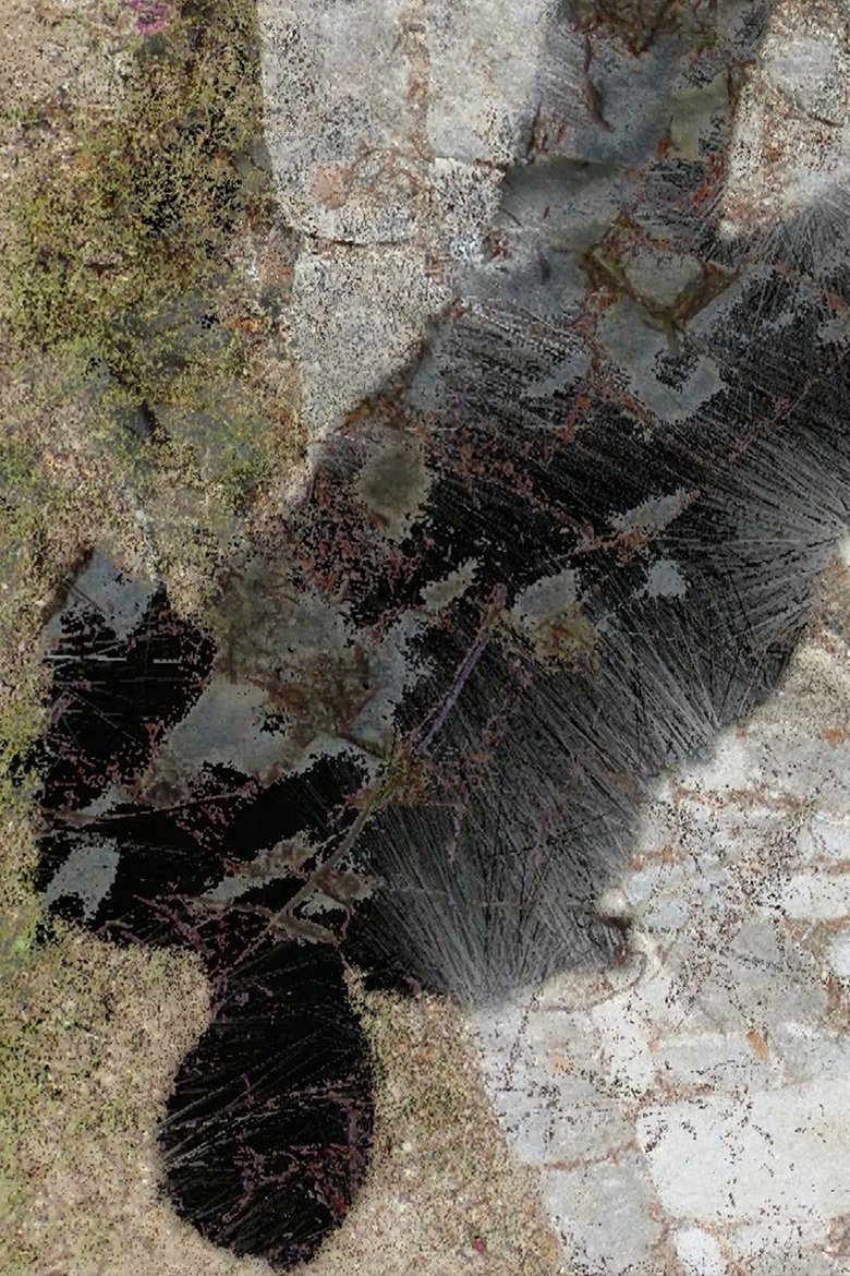 Poster of Presence