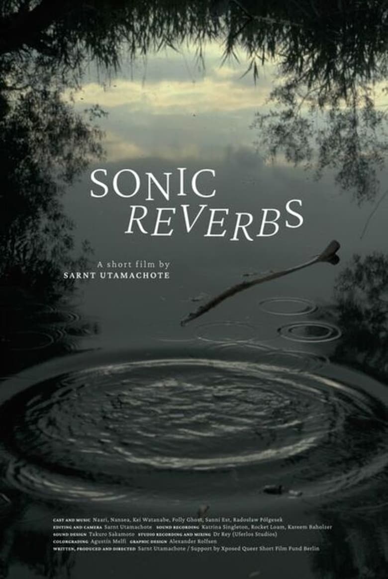 Poster of Sonic Reverbs