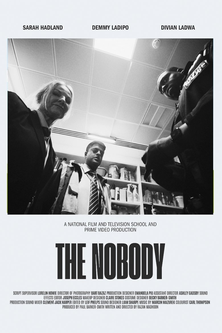 Poster of The Nobody