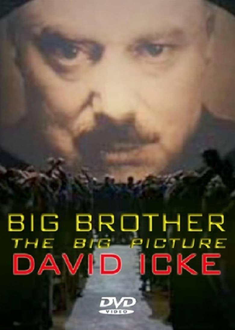 Poster of Big Brother: The Big Picture