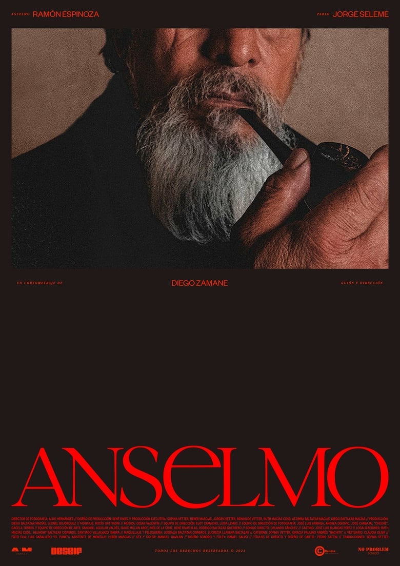 Poster of Anselmo