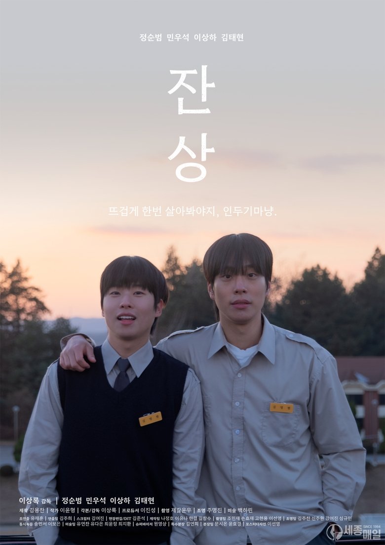 Poster of Afterimages