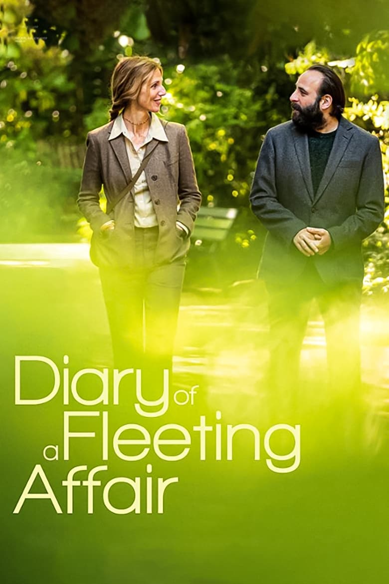 Poster of Diary of a Fleeting Affair