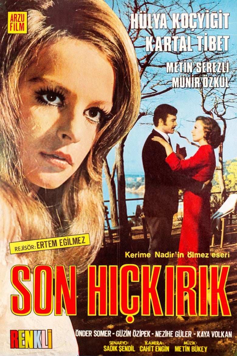 Poster of Son Hıçkırık