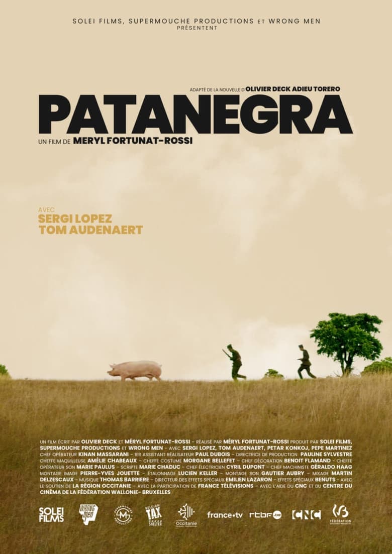 Poster of Patanegra