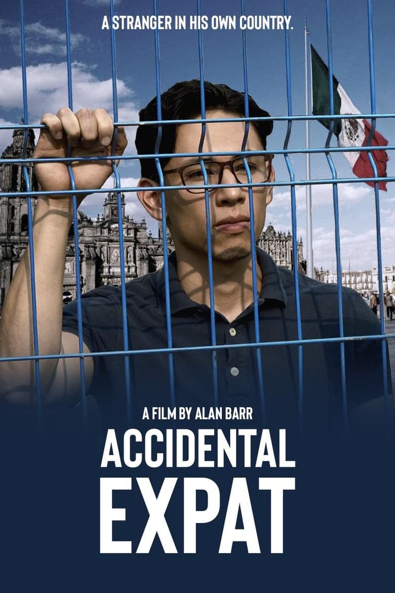 Poster of Accidental Expat