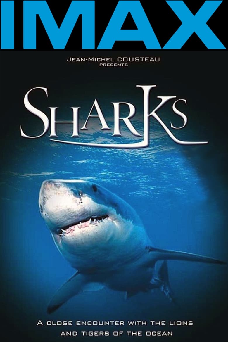 Poster of Sharks 3D