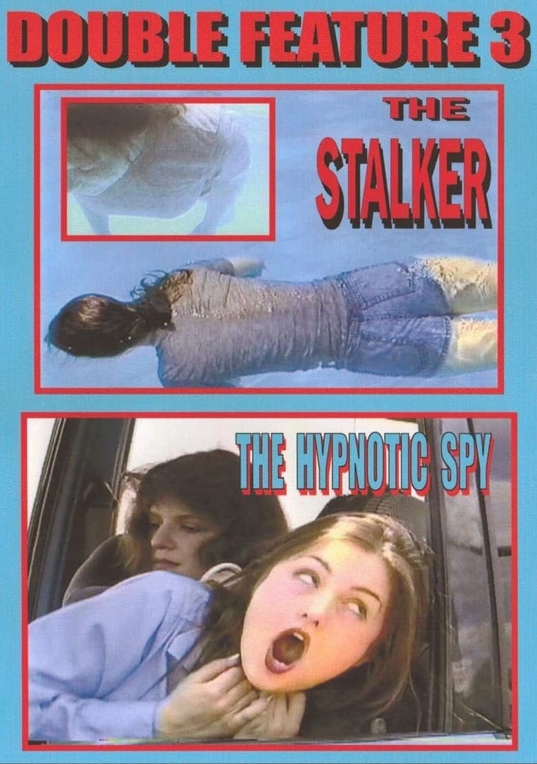 Poster of The Stalker