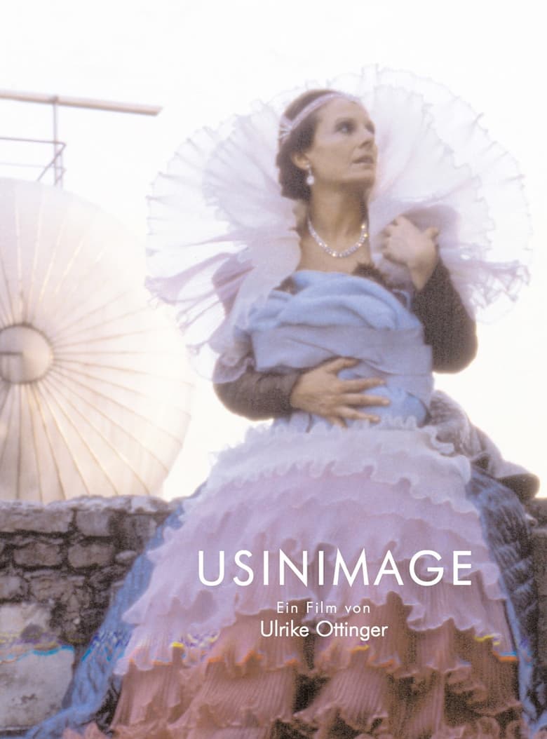 Poster of Usinimage