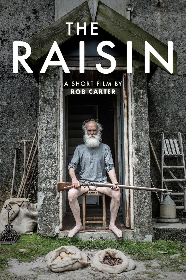 Poster of The Raisin