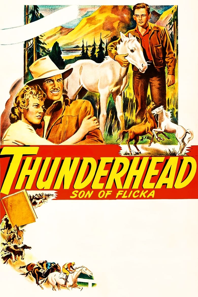 Poster of Thunderhead: Son of Flicka