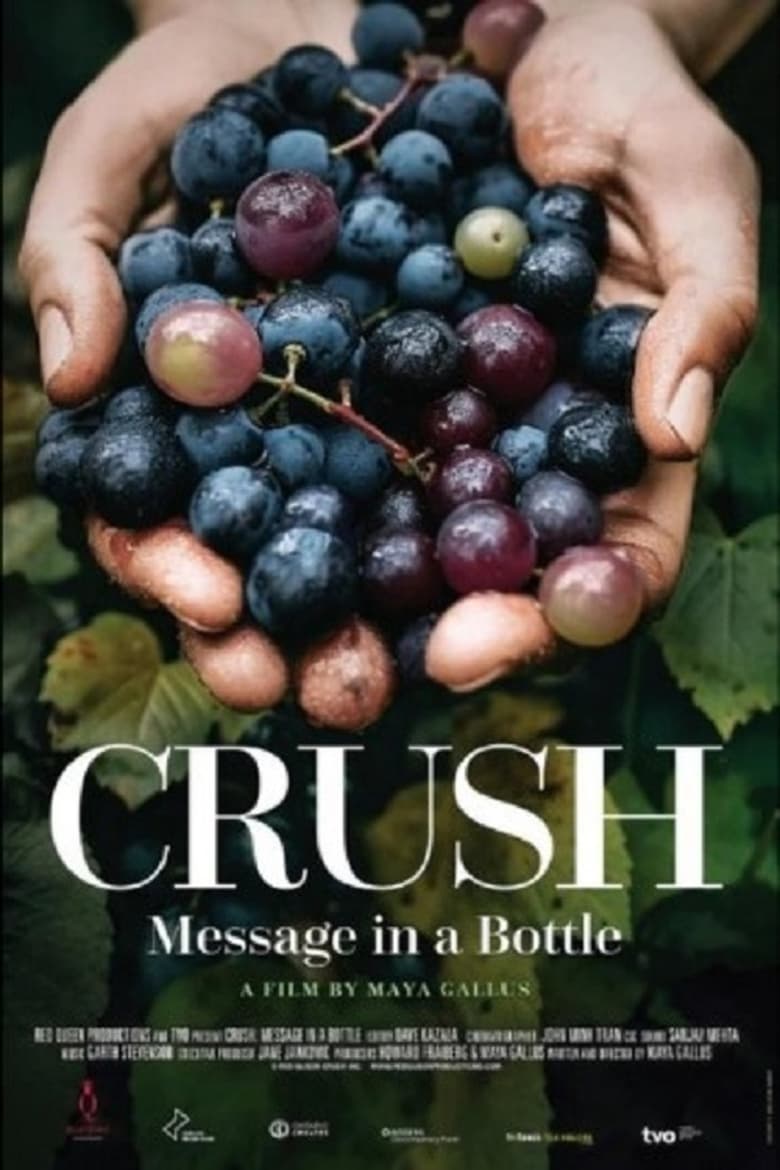 Poster of Crush: Message in a bottle