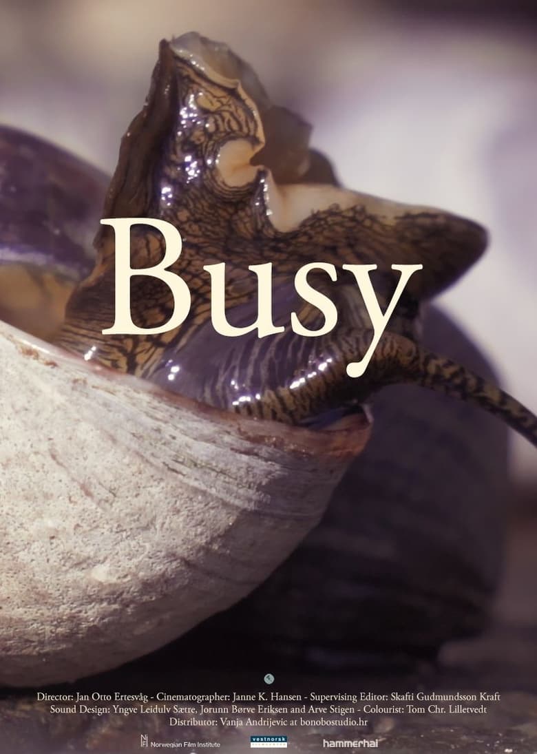 Poster of Busy