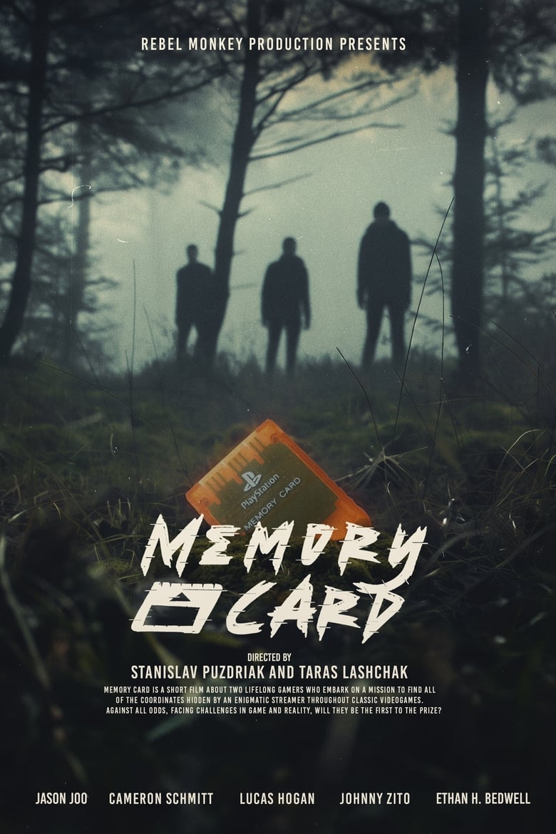 Poster of Memory Card