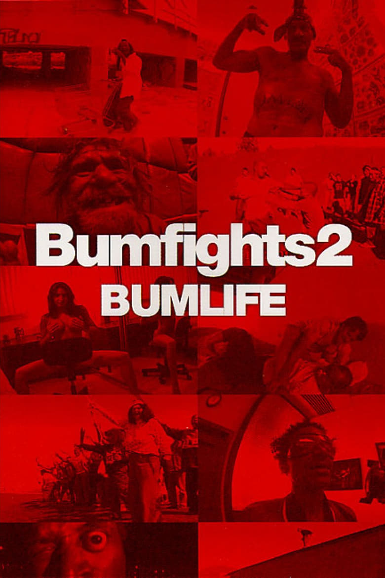 Poster of Bumfights Vol. 2: Bumlife