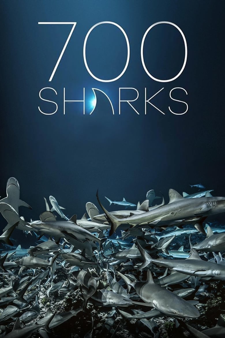 Poster of 700 Sharks