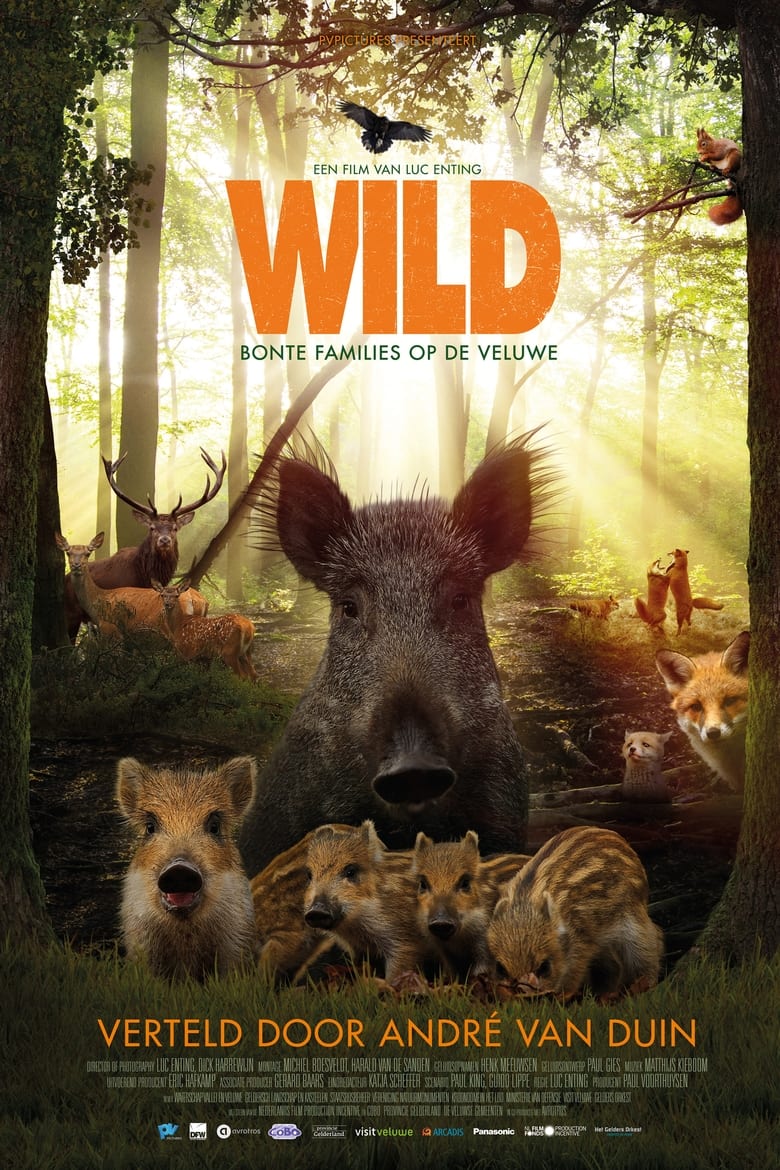 Poster of Wild