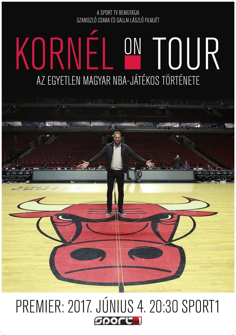 Poster of Kornél on Tour