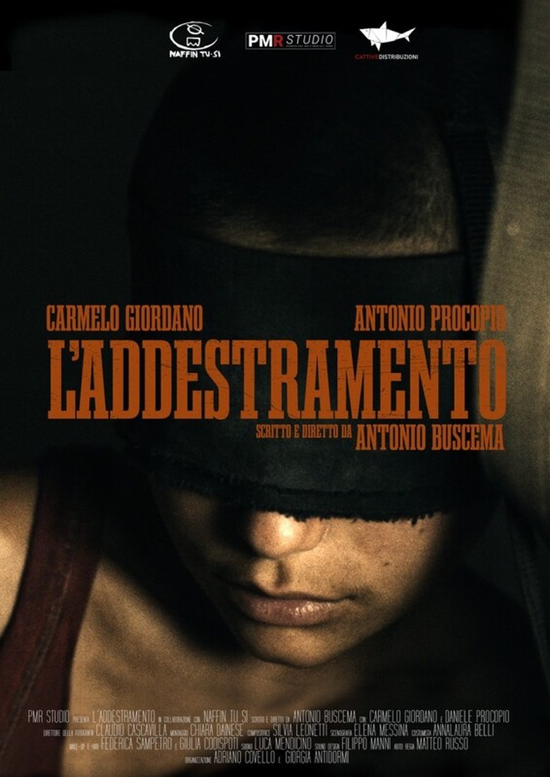 Poster of L'addestramento