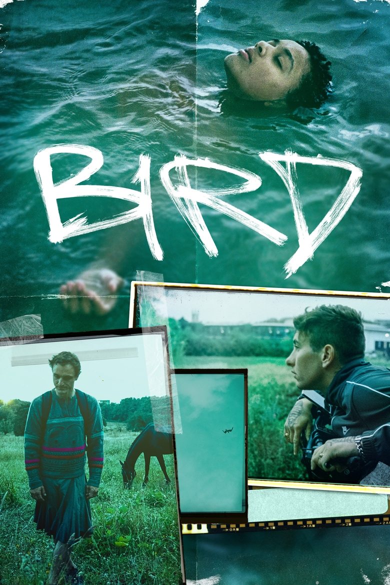 Poster of Bird