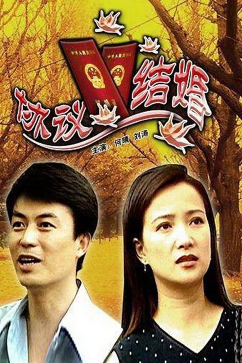 Poster of 协议结婚