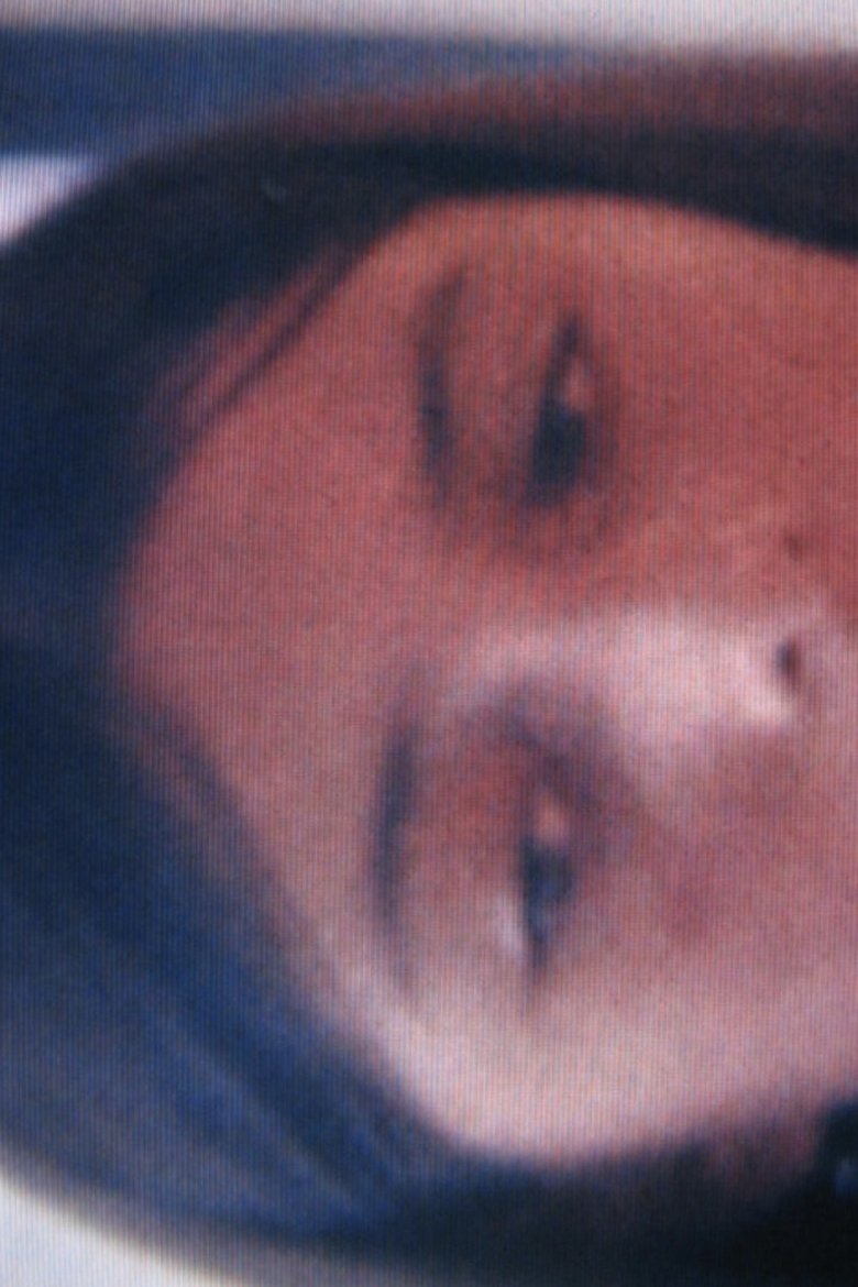 Poster of Contemplating The City