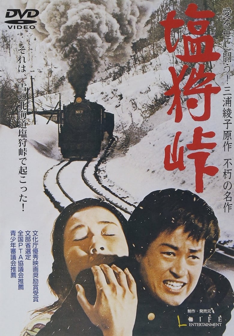 Poster of Love Stopped the Runaway Train