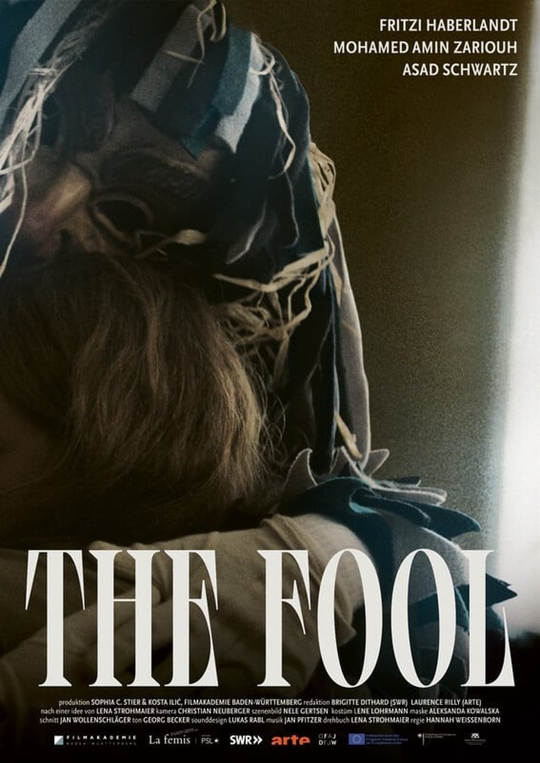 Poster of The Fool