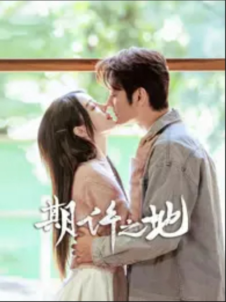 Poster of 期许之地